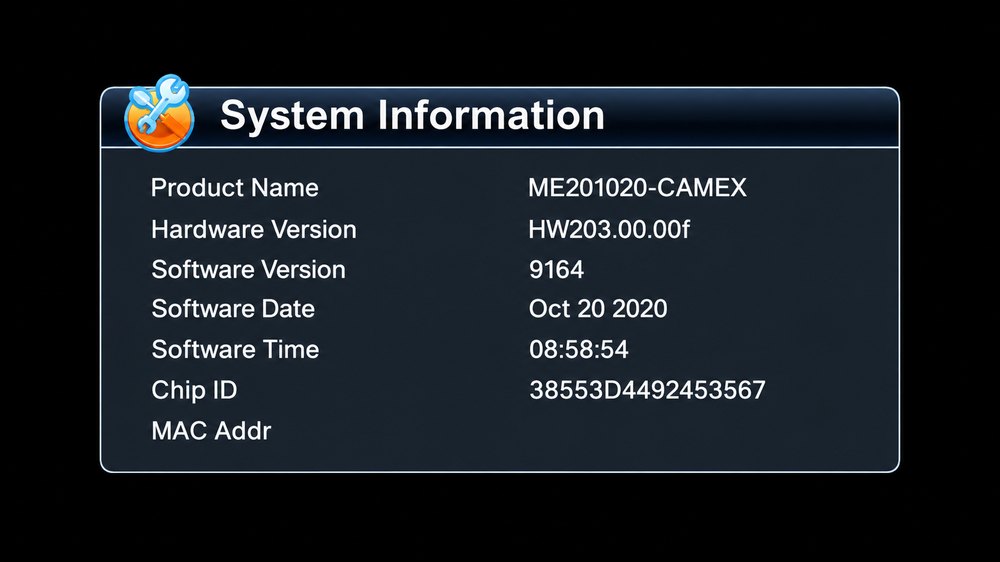 CAMEX GX6605S HW203 System Information screen with product name, hardware version, software version and date